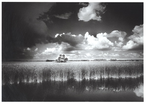 Visions of Florida: The Photographic Art of Clyde Butcher