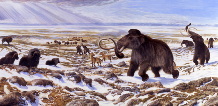 Ice Age Extinctions: What Happened?