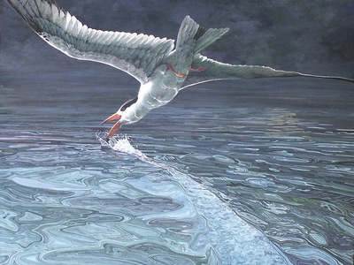 Biodiversity in the Art of Carel Pieter Brest van Kempen