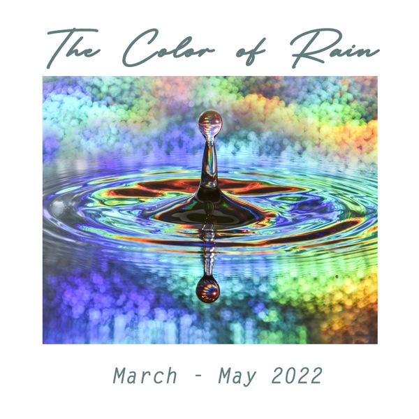 The Color of Rain: From the Florida Women's Art Association