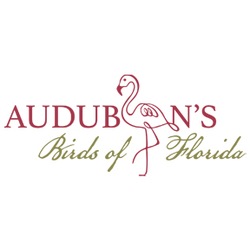 Audubon's Birds of Florida