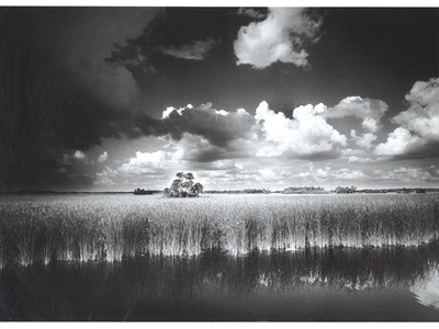 Visions of Florida: The Photographic Art of Clyde Butcher