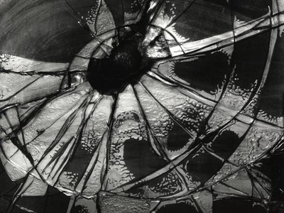 Brett Weston: Significant Details