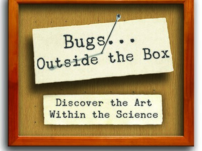 Bugs Outside the Box: Discover the Art Within the Sciences